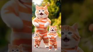 ️Cute Kitten #cat #viralvideos #dancingcat #catlovers #lovecats #funnycats #shortfeed