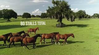 Horse Farm For Sale | 125 Acres | Can be divided | Reddick, Florida