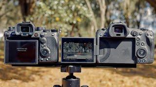 Sony A1 vs Canon R5 for VIDEO // Specs VS Reality