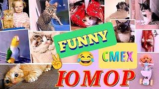 Смешные Животные. Funny Animals. #смешныевидео #funnyvideo #юморныемемы #humormemes #смешные #дети