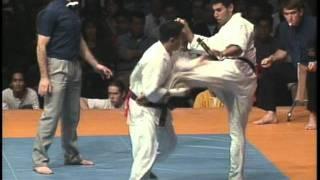 Kyokushin karate 5th world championship (3/4)