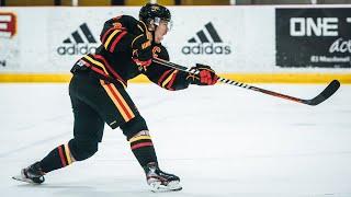 2020 Men's Hockey Highlights: Guelph Gryphons vs Lakehead Thunderwolves