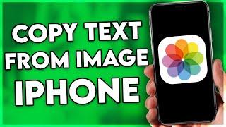 How to Copy Text From Image in iPhone (2024)