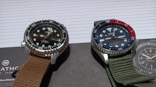 Citizen NY0040 or Seiko SKX009