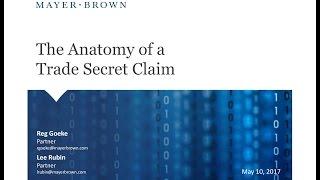 The Anatomy of a Trade Secrets Claim