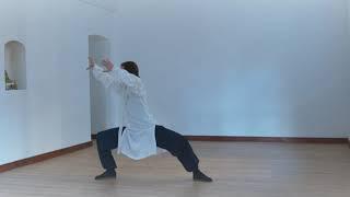 Authentic Wudang Tai Chi 28 - Zhang Sanfeng Lineage