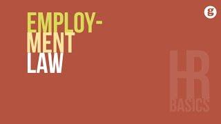 HR Basics: Employment Law