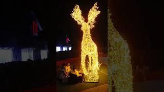 Christmas Reindeer Decor in Robinsons Galleria South - San Pedro Laguna