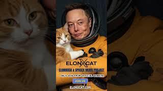 Join ElonXCat for a Fun and Friendly Crypto Adventure  || ELONXMUSK & SPACEX MEME COIN ||