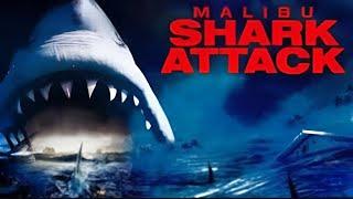 Malibu Shark Attack / Music video