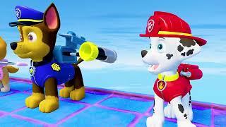 Paw Patrol's Pups Prove Their Prowess on the Playground | Crew Sun