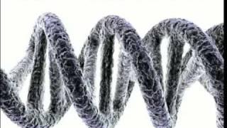 youth gene clusters