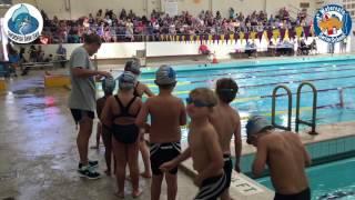 Swordfish 5 year old swimmer's first O-Fish-L Swim Meet 7-6-2016