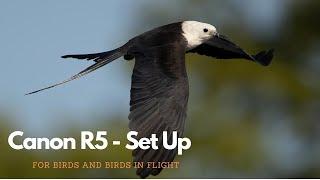 Canon R5 Set Up - Birds and Birds in Flight