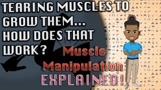 Chad-like Power: A GUIDE to Muscle Manipulation EXPLAINED!!!!