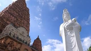 【Latest video shot in 2022】 Naritasan Kurume Temple（大本山成田山 久留米分院）วัดนาริตะซังคุรุเมะ 登上非常大的觀音像吧！