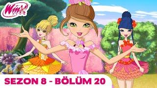 Winx Club - Sezon 8 Bölüm 20 - Lynphea'nın Yeşil Kalbi | TAM BÖLÜM