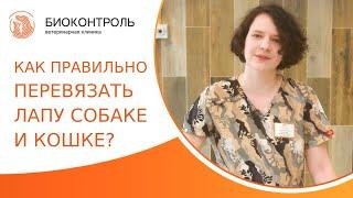  Как правильно перевязать лапу собаке и кошке? Как перевязать лапу собаке и кошке. Биоконтроль. 18+