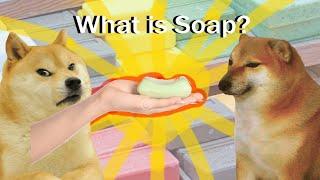 What Is Soap!? || Animation (Dogelore)