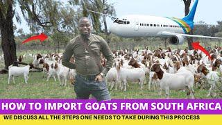 How To CHEAPLY Import GOATS From South Africa