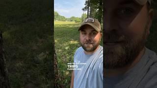 Flint Creek Prairie was mowed down!  #conservation #nativeplants #nature