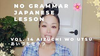 NO GRAMMAR JAPANESE LESSON VOL. 14