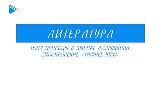 6 класс - Литература - Тема природы в лирике А.С. Пушкина стихотворение "Зимнее утро".