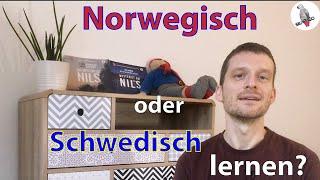 Norwegisch oder Schwedisch lernen?