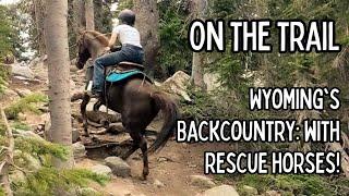 On the Trail // Wyoming's Backcountry with Rescue Horses!