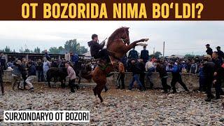 OT BOZORIDA NIMALAR BOʻLYAPTI? | SURXONDARYO OT BOZORI