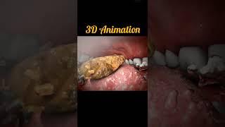 3D Animation Chewing and Swallowing । Easy Understanding । Problem Solved #animation #anatomy3d