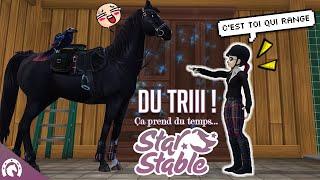 Rangement de mon ÉCURIE ! | Star Stable - SSO