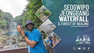 Seogwipo Jeongbang Waterfall & Forest of Healing | Deaf Talks: Sign Language Travel Vlog Part 3.