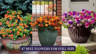 47 Best Flowers for Full Sun | Heat Tolerant Flowers for Containers #flowers #flower #container