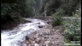 The beauty  and sound of nature//uzungol river//trabzon turkey//jenny alaman