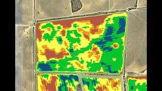 3 simple tools for nutrient management in 2022 - DataFarming/BackPaddock