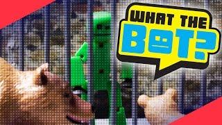 What the Bot?  | The Zoo