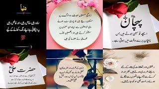 Golden Words Quotes In Urdu || Life Changing Quotes || Urdu Poetry Status