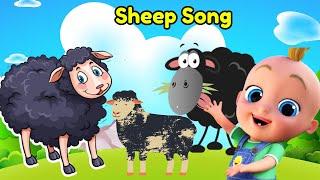 Sheep Song || Kids Song || Cocomelon Nursery Rhymes