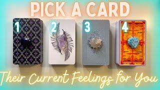 How They Are Currently Feeling About You| PICK A CARD In-Depth Love Reading