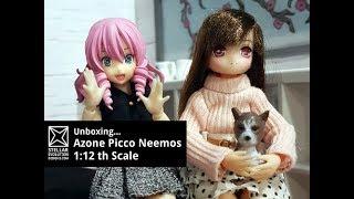 Azone picco neemo unboxing video