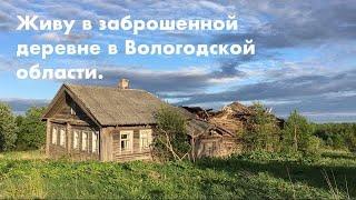 Живу в заброшенной деревне в Вологодской области.