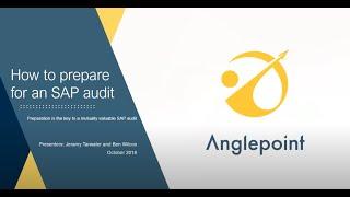 How to Prepare for an SAP Audit