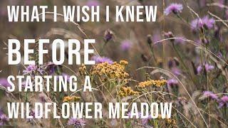 I wish I knew this BEFORE starting a wildflower meadow (part 2 of 4)