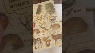 animal #journal #collage#scrapbooking #shorts #relaxing #ASMR