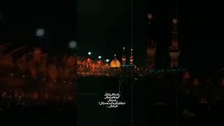 ️دلبر عراقی 🪧 پلاک۸ #pelak.8