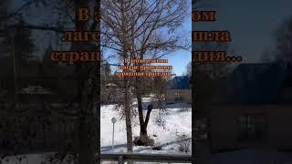 Заброшенный лагерь призрак   #заброшенное #заброшка #лагерь