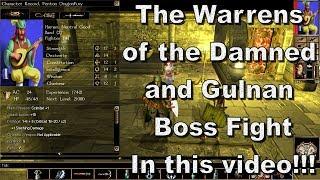 Neverwinter Nights Enhanced Edition The Warrens of the Damned and Gulnan Boss Fight
