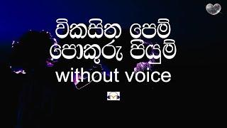 Vikasitha Pem Karaoke (without voice) විකසිත පෙම් | Sinhala Music Tracks