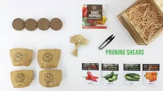 Get Started With Your Garden Republic Spicy Pepper Grow Kit